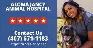 Aloma Jancy Pet Hospital