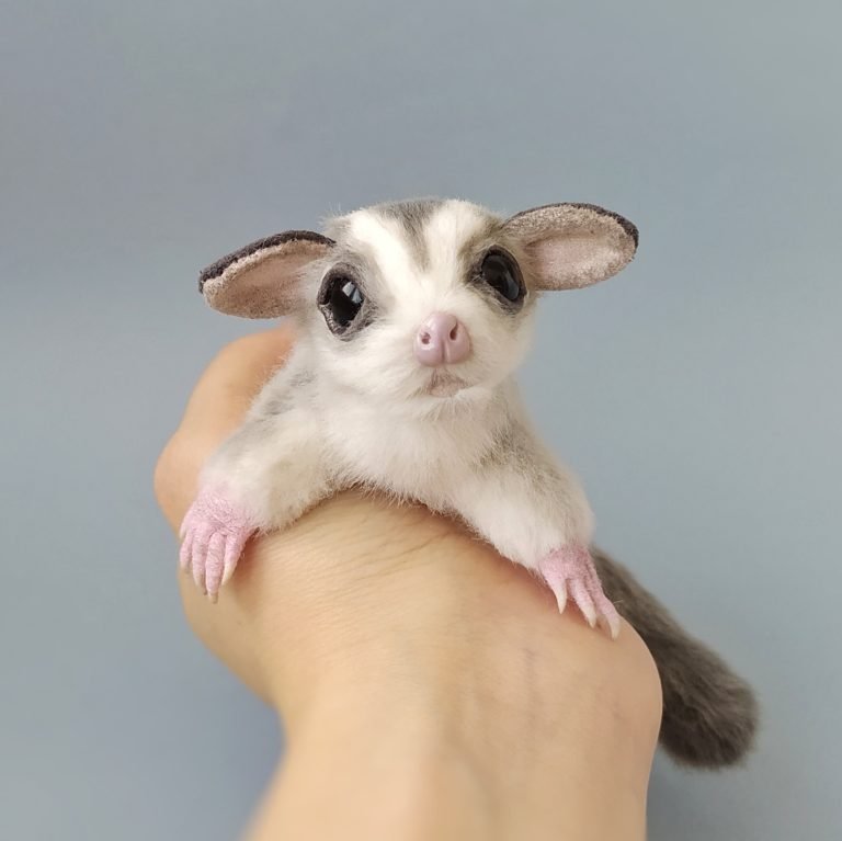 Sugar Glider Plush