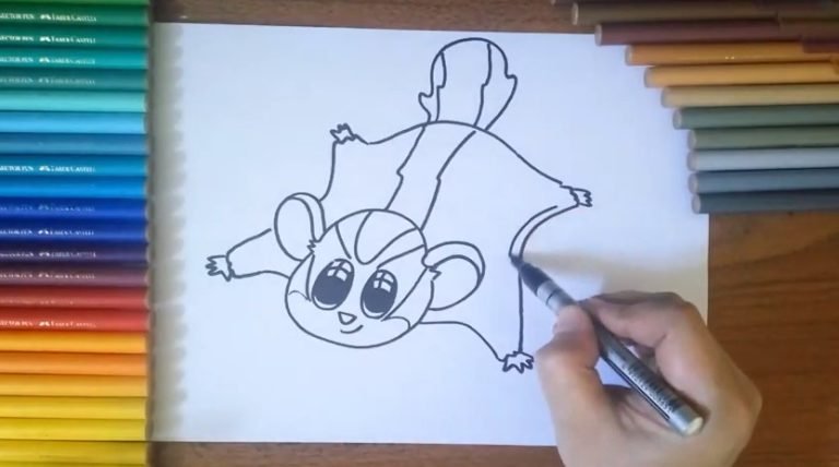 How To Draw A Sugar Glider Step By Step